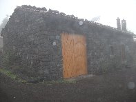 fugio Pirao-20101010 115